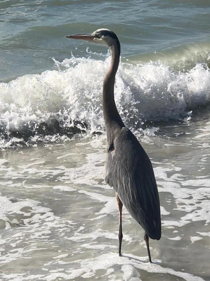 Welcome To The Paradise Fort Myers Beach Bagian luar foto