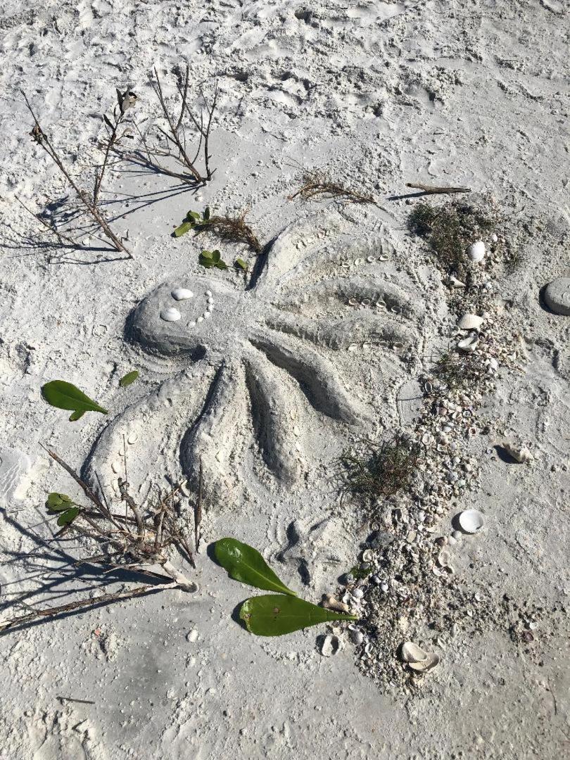 Welcome To The Paradise Fort Myers Beach Bagian luar foto